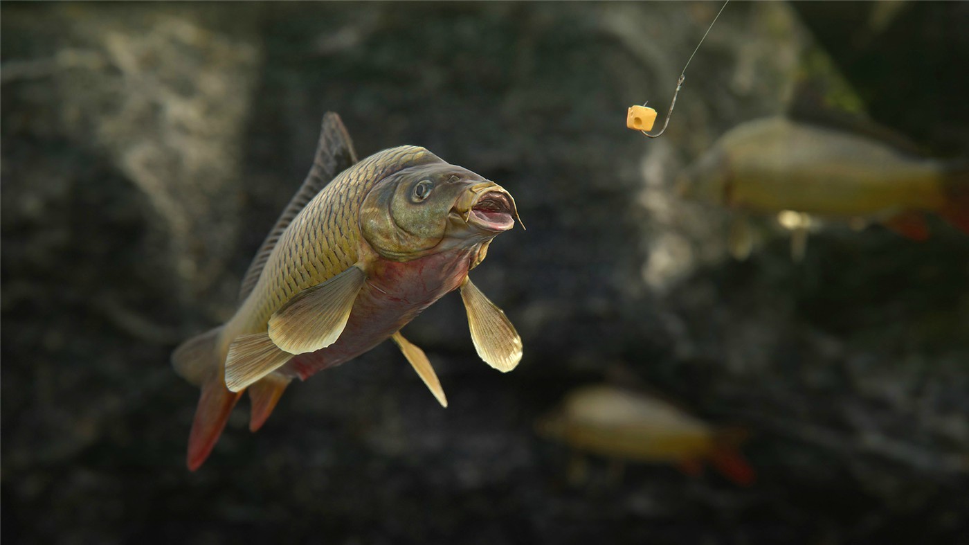 《人渣》v1.1.0.2.99989中文版-知创网