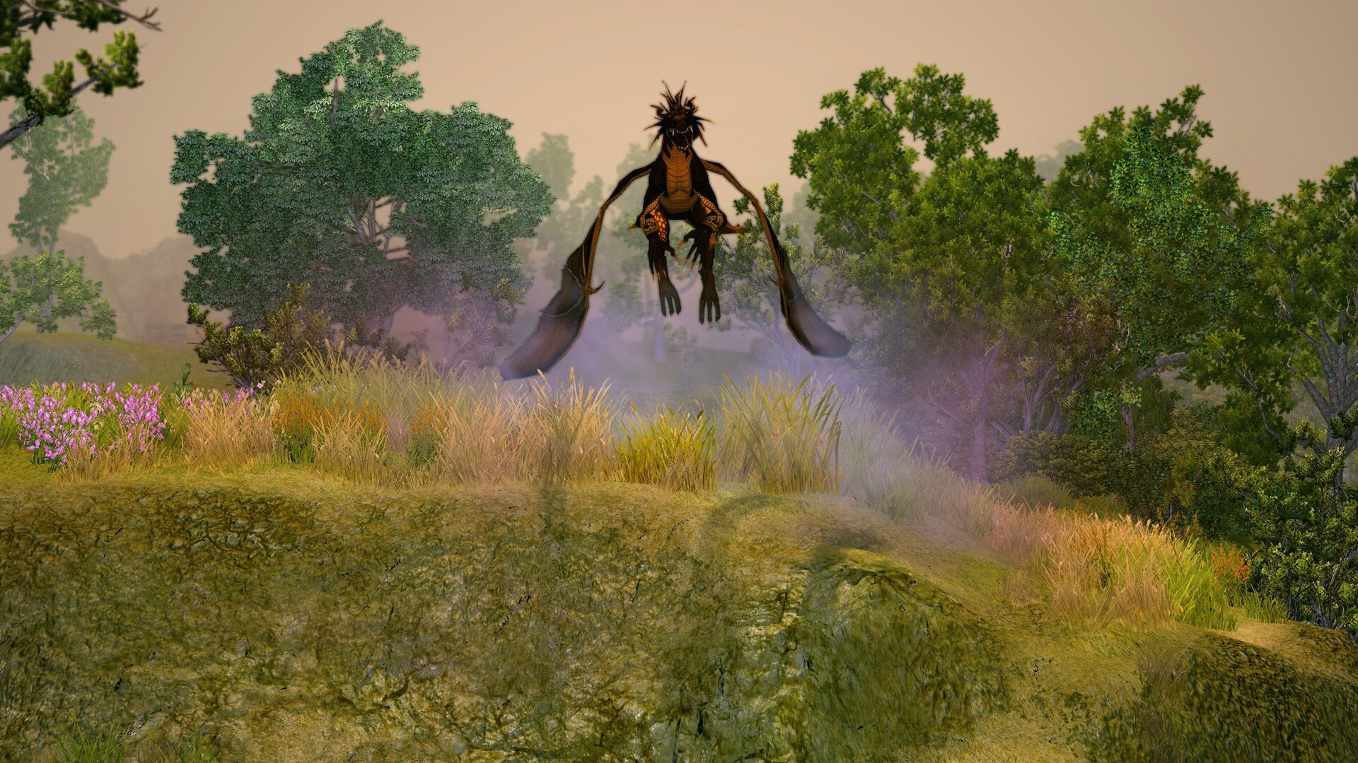 《圣域2:重制版》v1.5原版-知创网