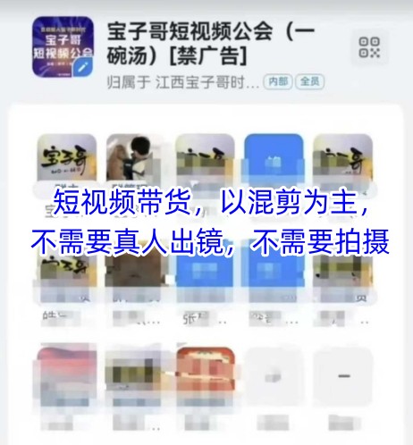 宝子哥头部团队短视频带货，以混剪为主，不需要真人出镜，不需要拍摄【更新26年1月】-知创网