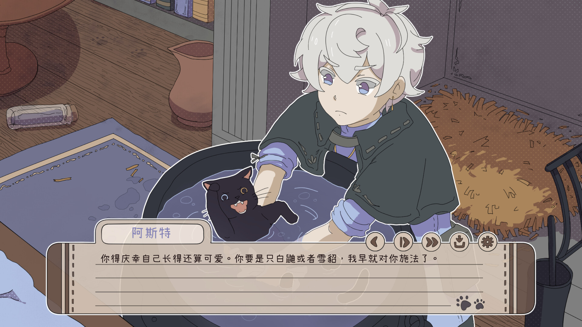 我家猫崽可爱到“刑”了!/My Confounding Cat is Criminally Cute!-知创网