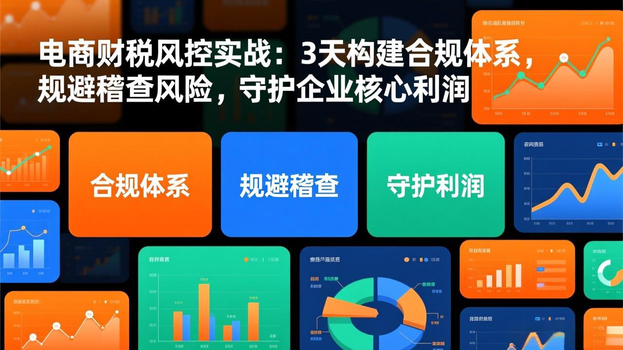 电商财税风控实战：3天构建合规体系，规避稽查风险，守护企业核心利润-知创网